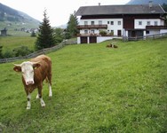 angererhof_sommer_impressionen_01.jpg