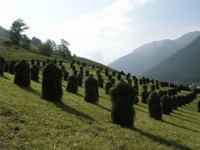 urlaub_am_bauernhof_dolomiten_09.JPG