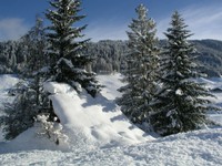 jahrhundert_winter_2014_28.jpg