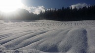 Schneehoehe-Spuren-im-Schnee.jpg